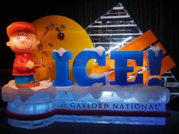 Gaylord National Ice show. Photo provided by Xander Bush. 