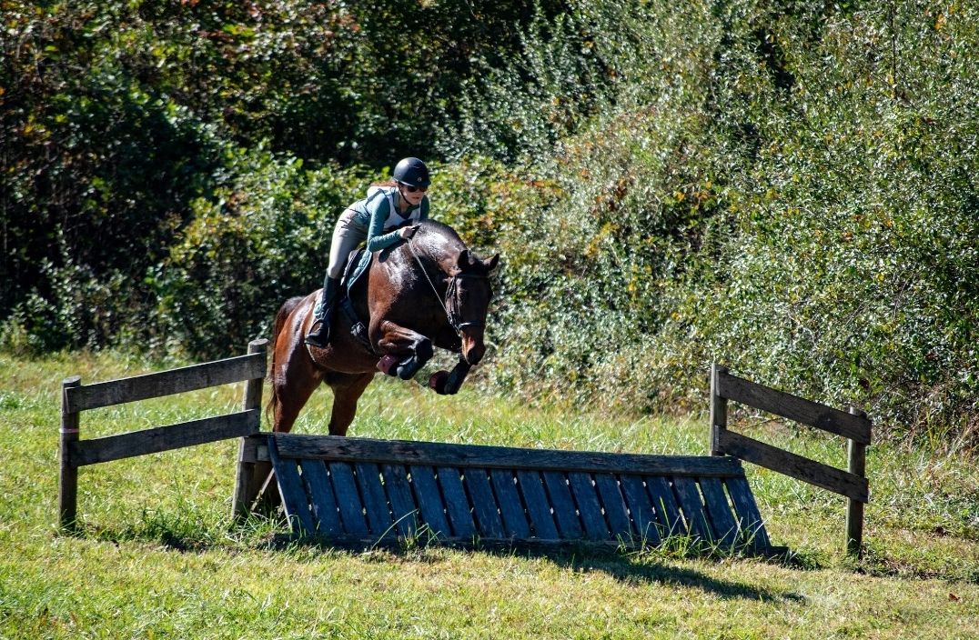 Senior Rebecca Stetter leaps over an obstacle with her horse, Emmy, during a competition. Photo provided by Rebecca Stetter.
