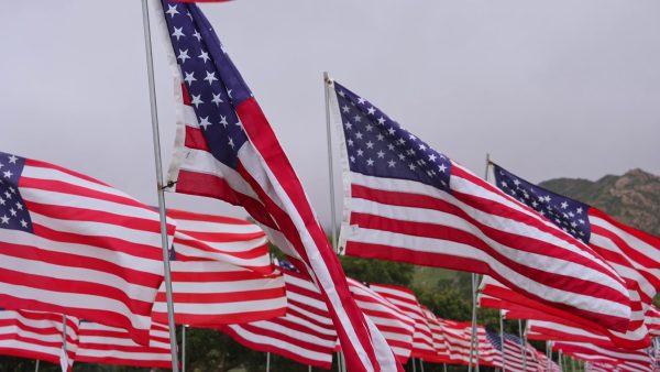 American flags on a field. Photo provided by Aerial Film Studio.